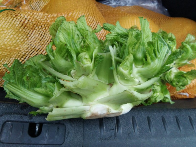 儿菜