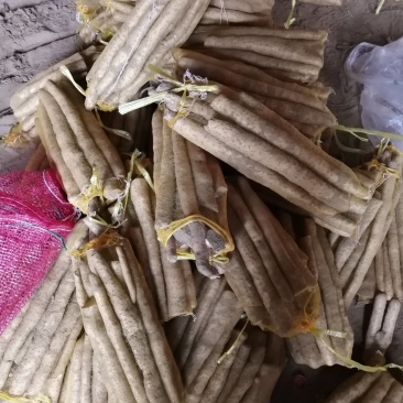 小白嘴白山药生产基地直接供应