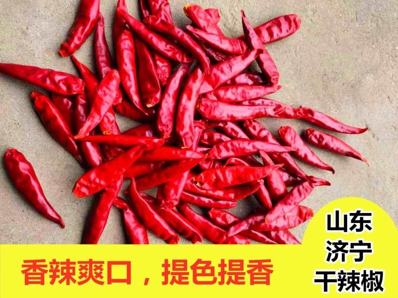 山东济宁三樱干辣椒上市，欢迎采购，批发市场专供