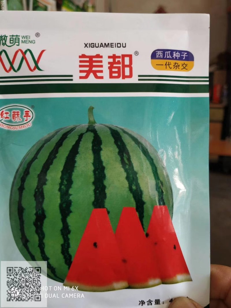 西瓜种子改良8424种子美都