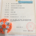 网红博羊72甜瓜种苗可视频看货