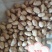 308花生，精选颗粒饱满，口感香，出油高！