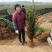 高产油茶树苗容器苗大杯苗长林赣无系列