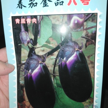 茄子苗，茄子苗，茄子苗。