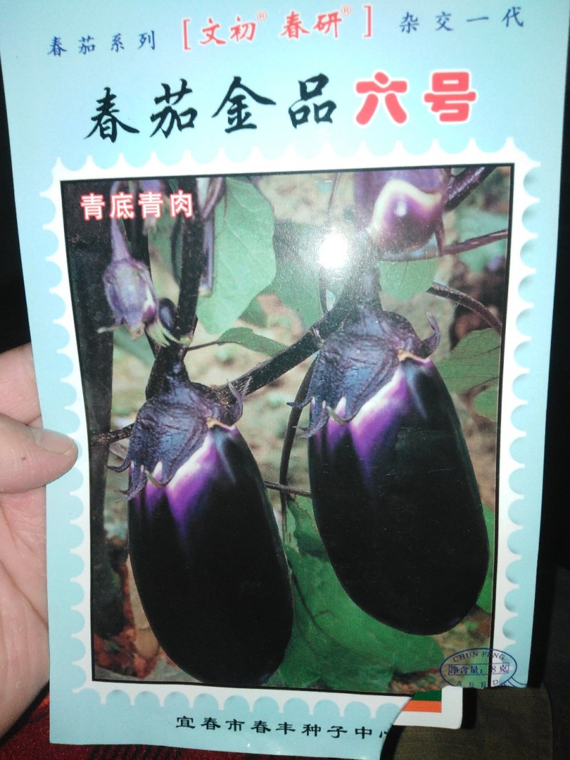 茄子苗，茄子苗，茄子苗。