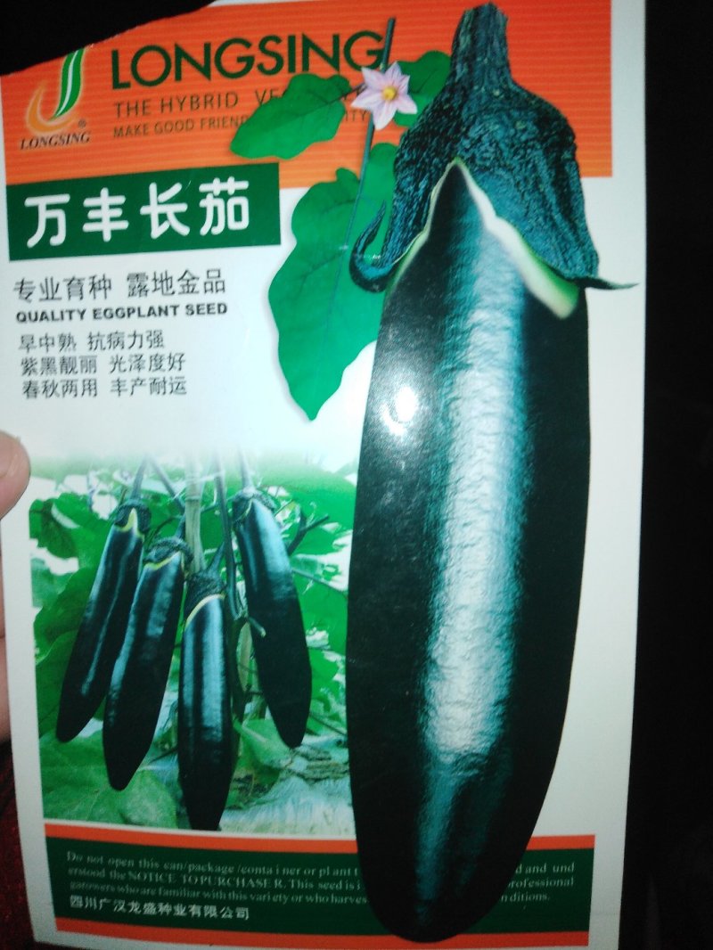茄子苗，茄子苗，茄子苗。