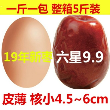 包邮新大枣新疆红枣特产六星特级和田大枣玉枣骏枣2500