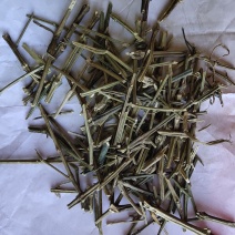 穿心连个子穿心莲川心连不含运费