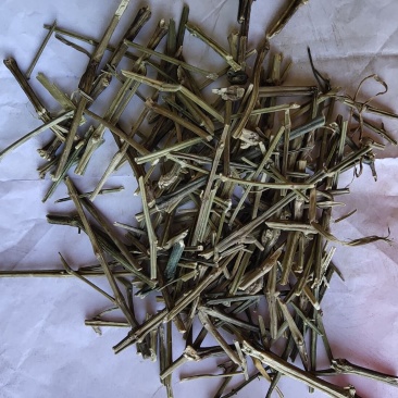 穿心连个子穿心莲川心连不含运费