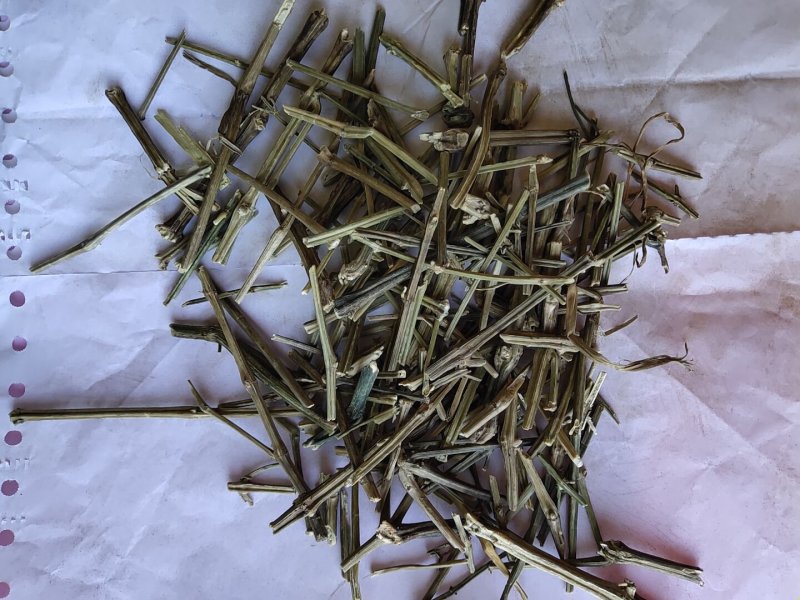 穿心连个子穿心莲川心连不含运费