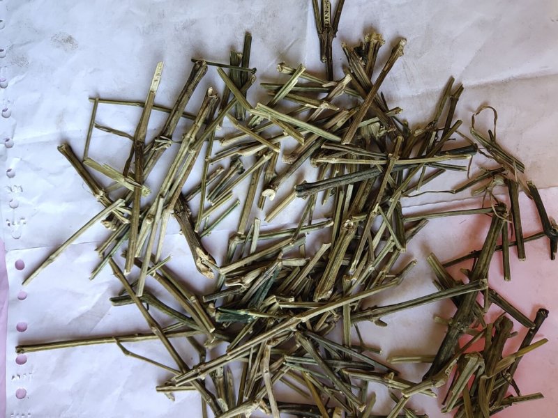 穿心连个子穿心莲川心连不含运费