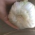 【优】精品娃娃菜，大小均有，新鲜供应，产地现发