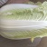【优】精品娃娃菜，大小均有，新鲜供应，产地现发
