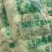 【优】精品娃娃菜，大小均有，新鲜供应，产地现发