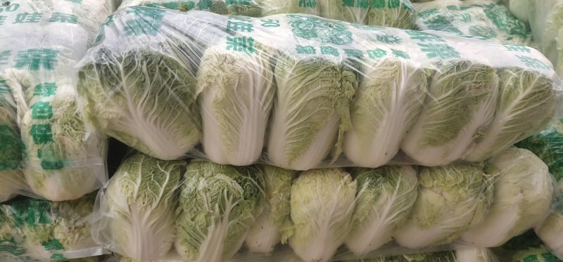 【优】精品娃娃菜，大小均有，新鲜供应，产地现发