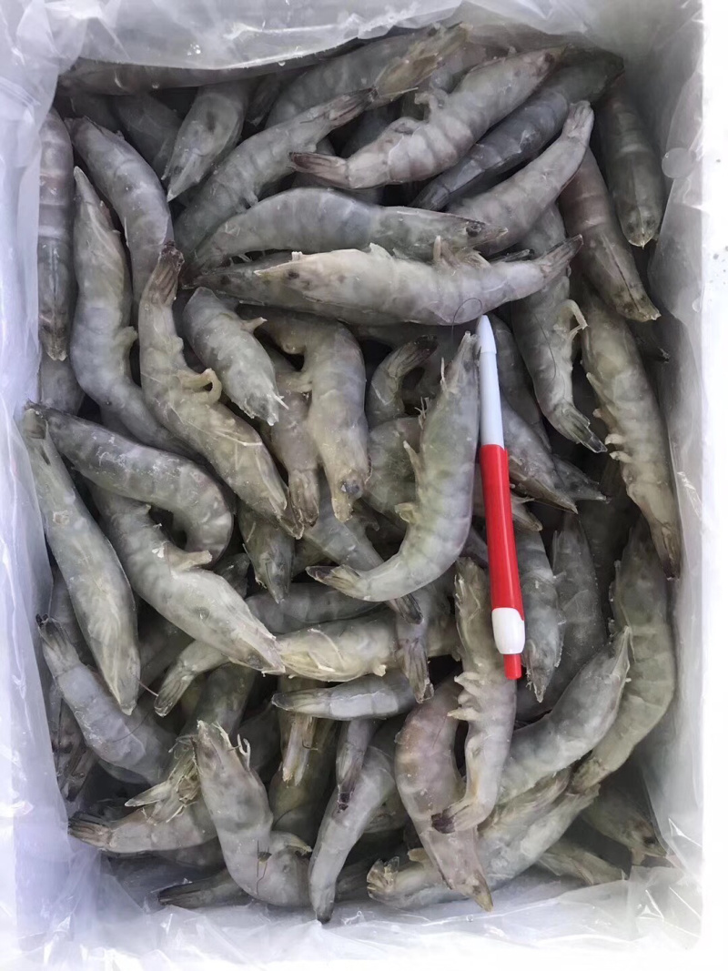 单冻带头10斤装干冰青虾