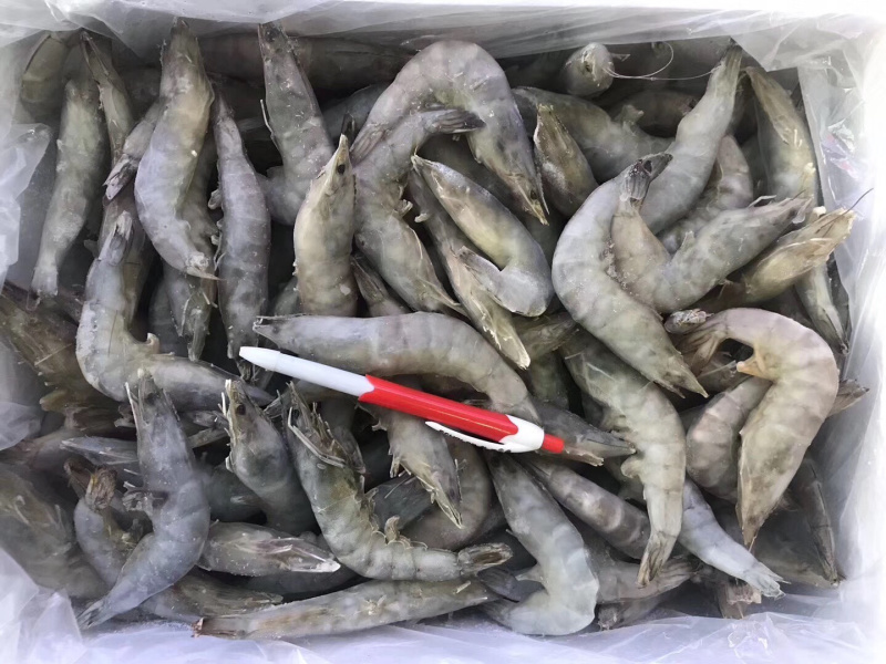 单冻带头10斤装干冰青虾