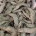 单冻带头10斤装干冰青虾