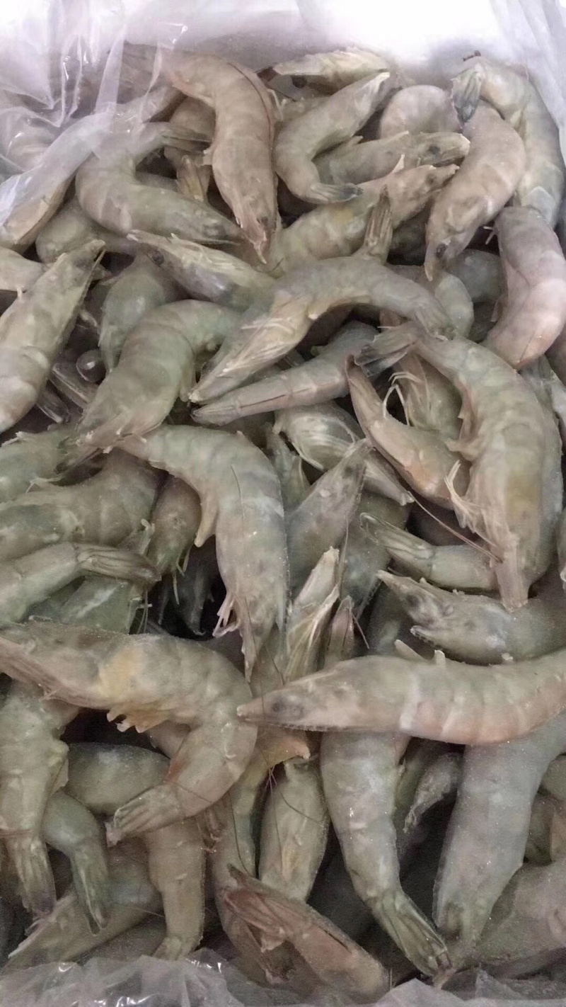 单冻带头10斤装干冰青虾