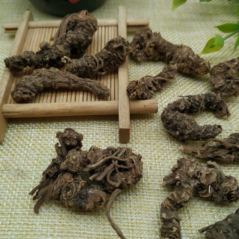 缬草根正品无硫光缬草野生蜘蛛香马蹄香根