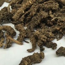 缬草根正品无硫光缬草野生蜘蛛香马蹄香根