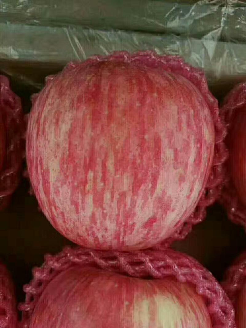 红富士苹果山东苹果产地批发，货源充足口感脆甜，量大从优