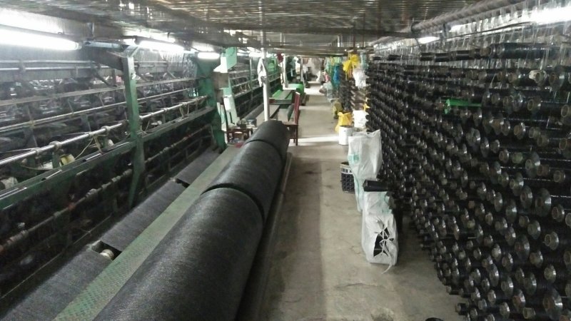 遮阳网6针菌棚遮阳网全新料+抗氧化剂国标厚度