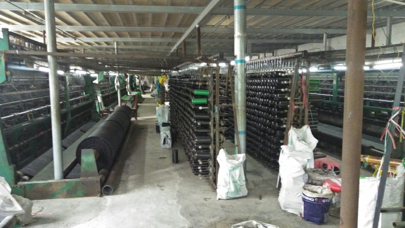 遮阳网6针菌棚遮阳网全新料+抗氧化剂国标厚度