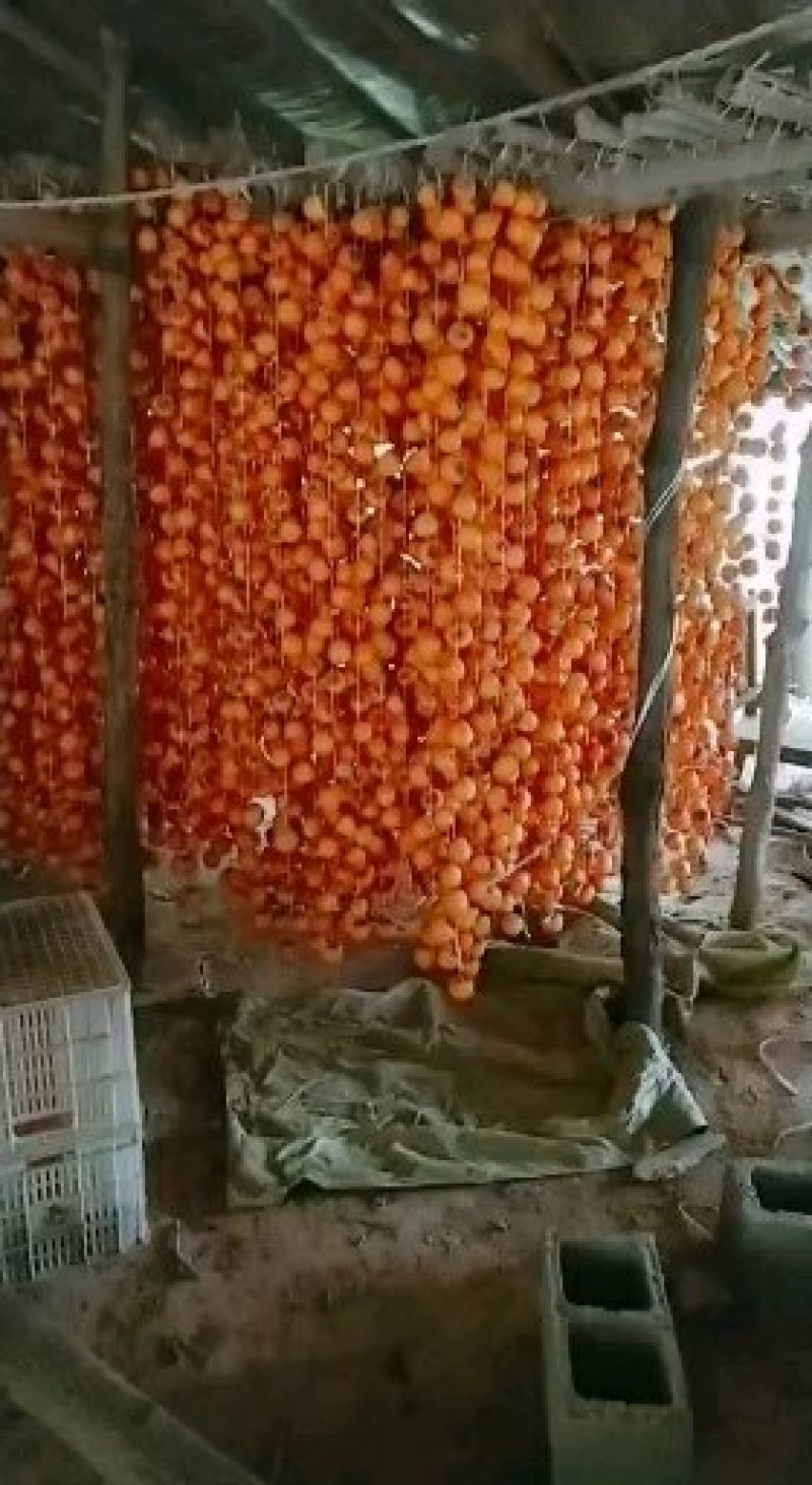 青州柿饼