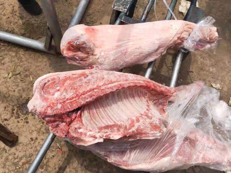 去皮五花猪排，小肥膘猪