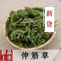 伸筋草新货正品无硫伸筋草货干无杂质无硫