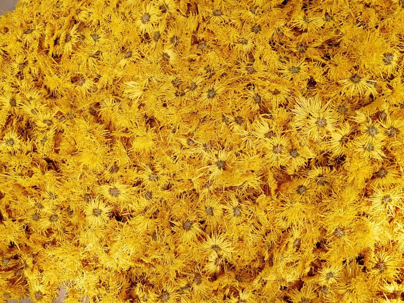 菊花茶金丝皇菊茶，淘宝拼多多首选