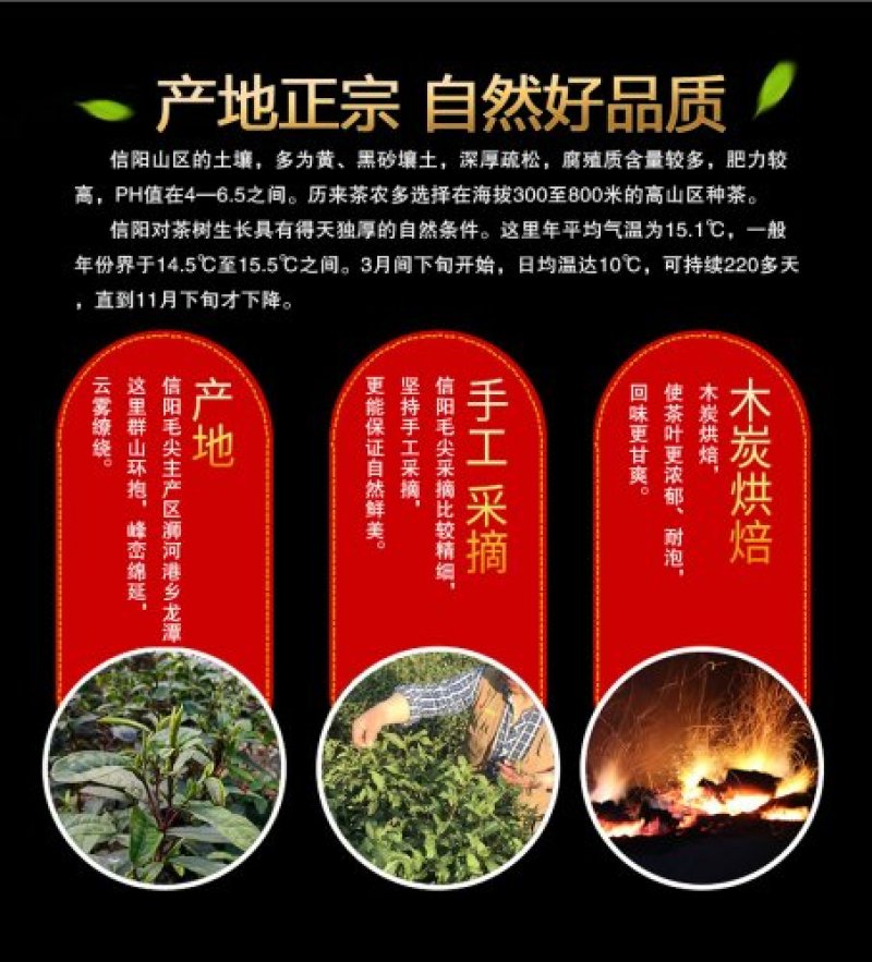 2020年信阳毛尖新茶明前特级