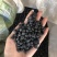 农家自产绿芯黑小豆五谷杂粮