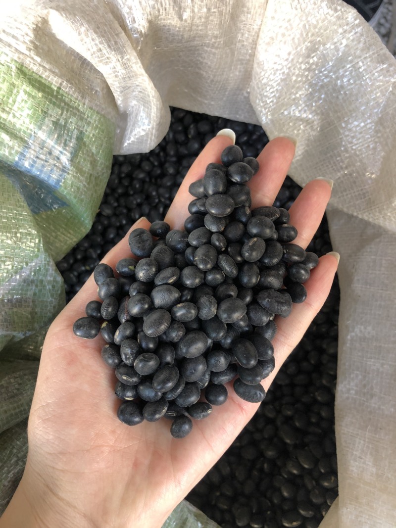 农家自产绿芯黑小豆五谷杂粮
