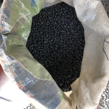 农家自产绿芯黑小豆五谷杂粮