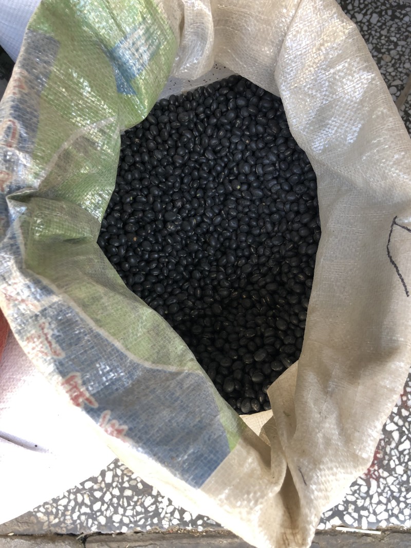 农家自产绿芯黑小豆五谷杂粮
