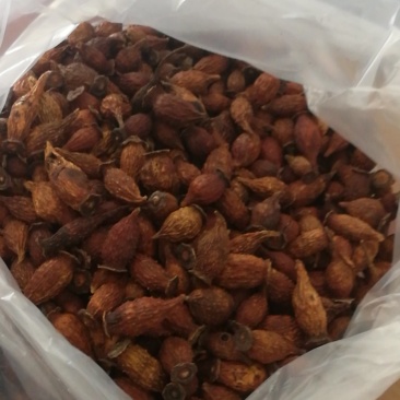 金樱子干货，大量供应有货