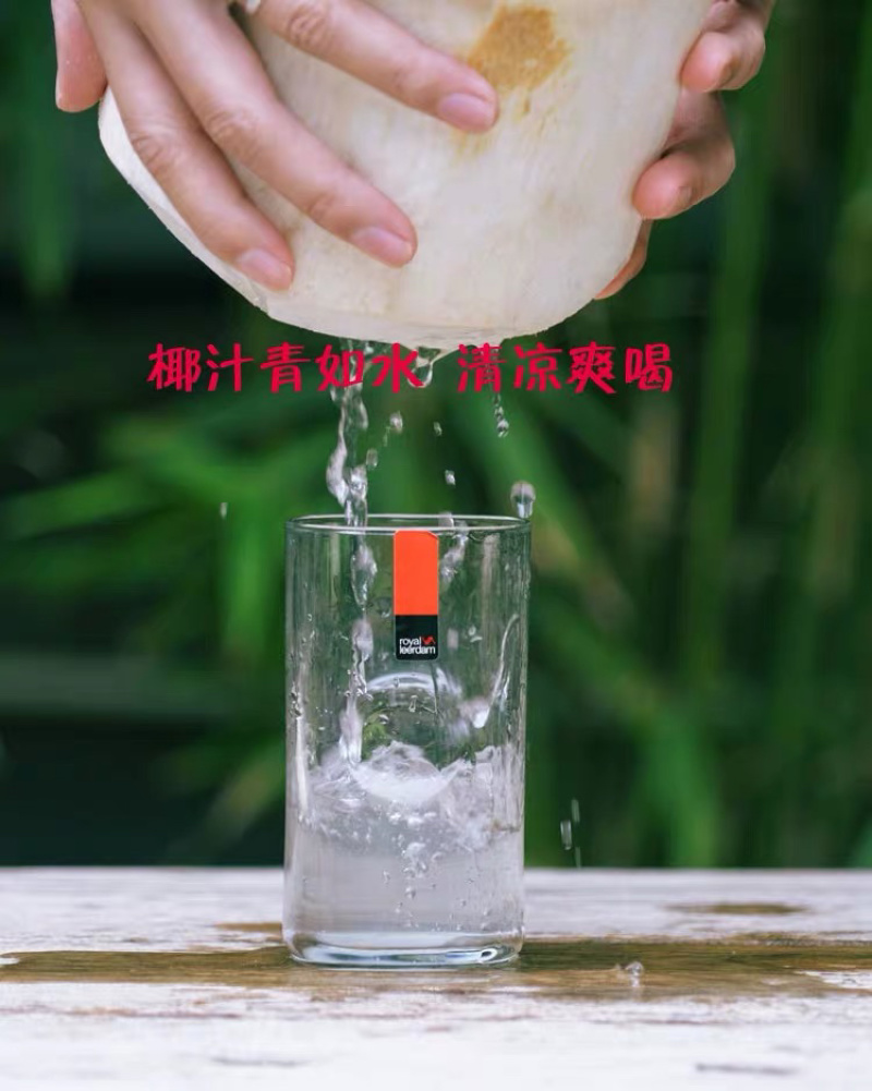 椰子🔥海南文昌椰青批发可厂家直供整车全国发货