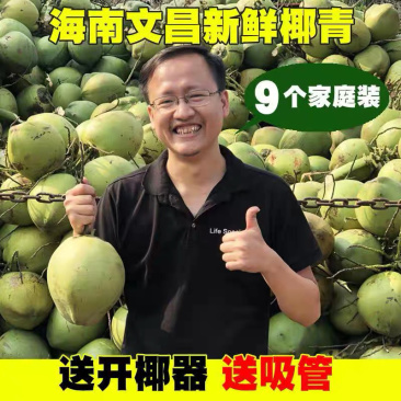 椰子🔥海南文昌椰青批发可厂家直供整车全国发货