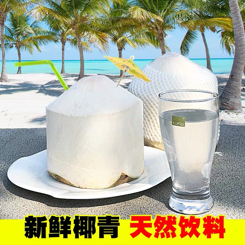 🔥🔥海南文昌椰子实力厂家供应价格实惠性价比更高