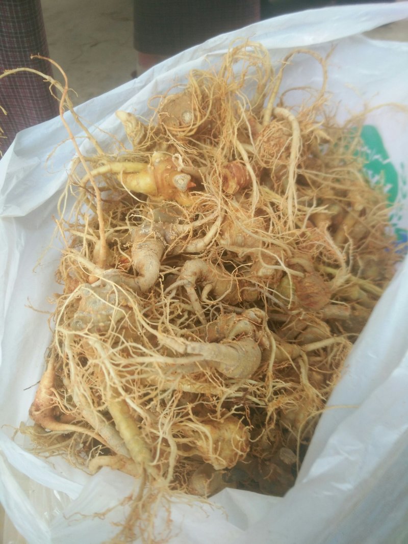 三七，好吃好吃好吃好吃好吃好吃好吃好吃