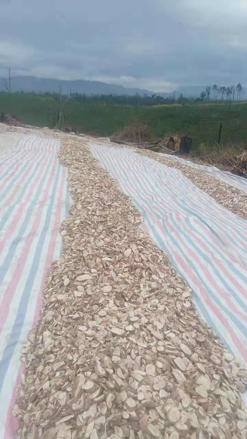 木薯干片