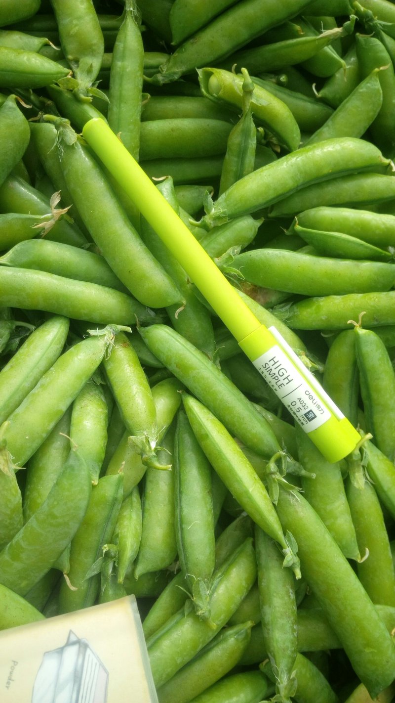 青豌豆近期要大量上市各位老板放马过来