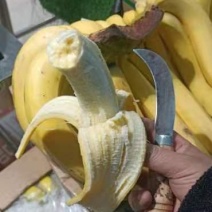 香蕉
