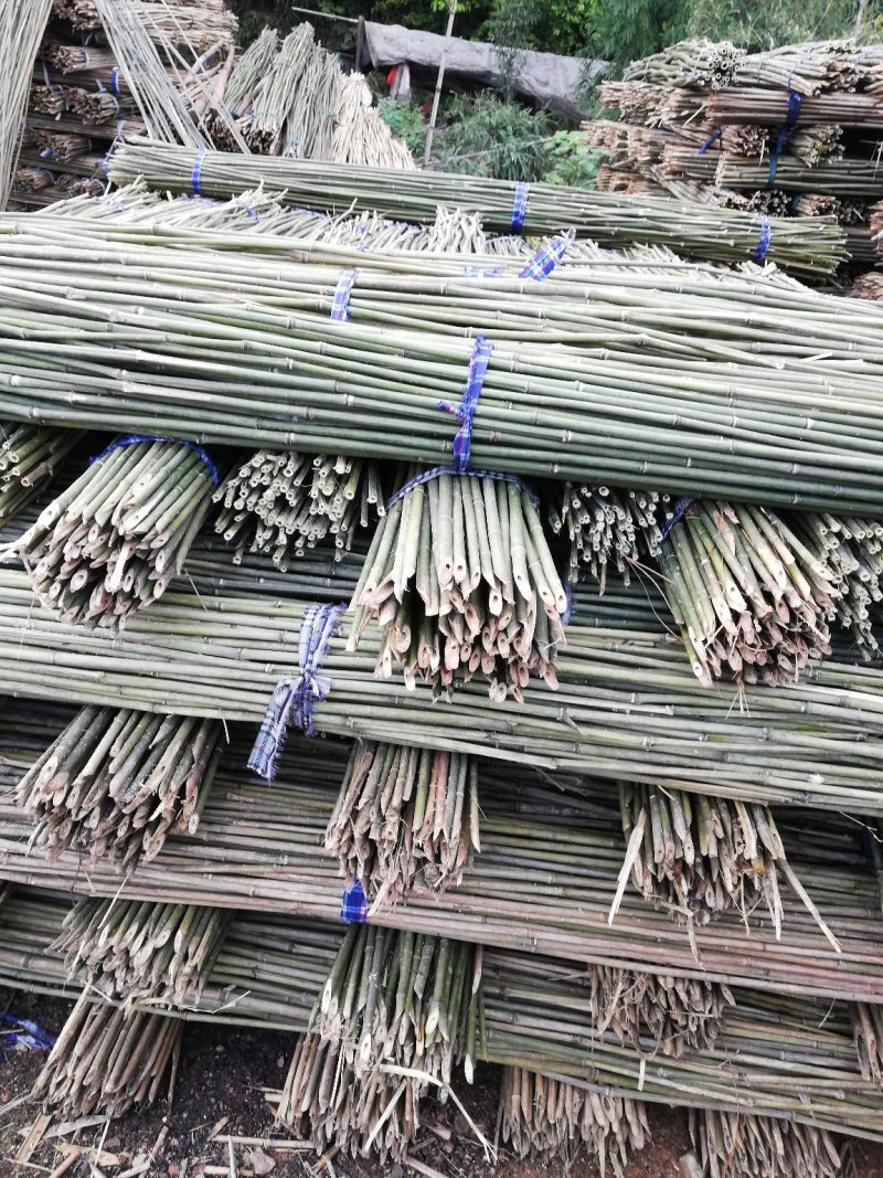 江源竹业竹竿大量批发，货真价实，长年供应货源。