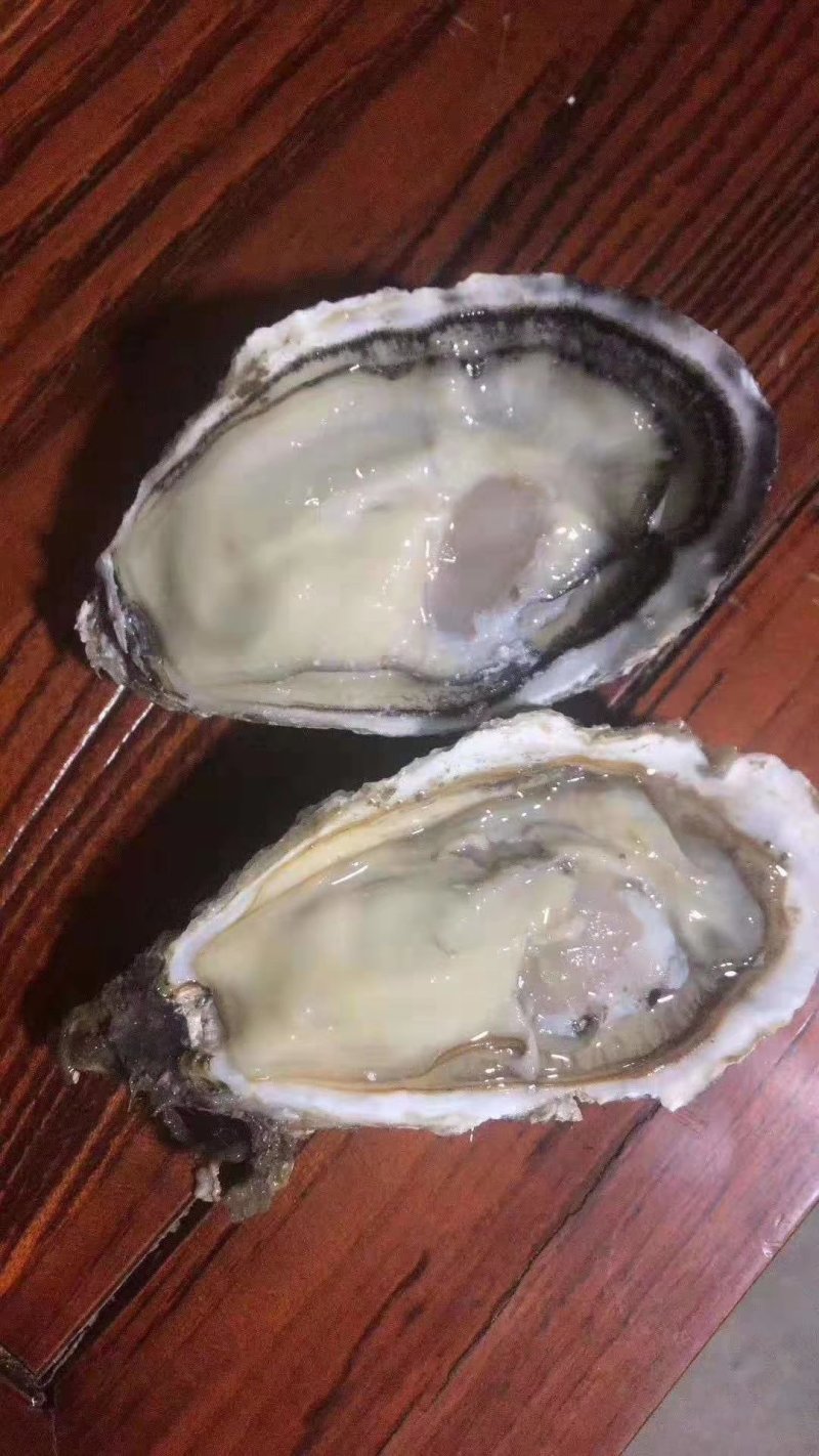 生蚝