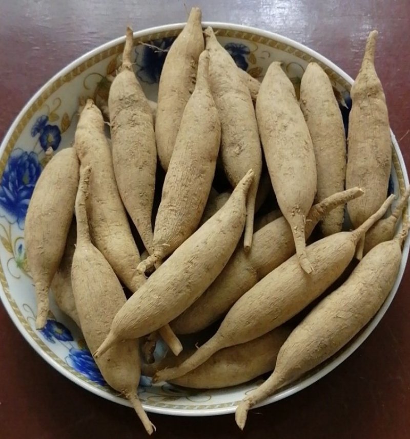 广西天门冬现挖新鲜天冬生货泡酒包邮