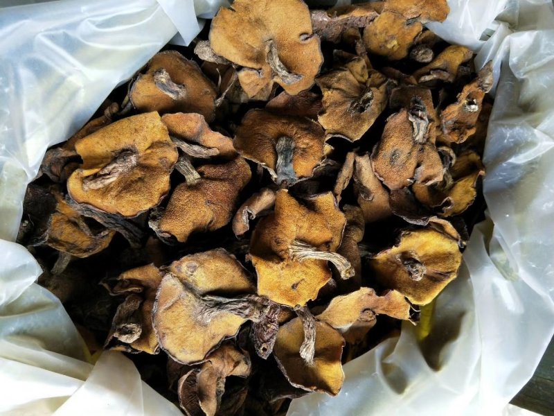 食用菌干货