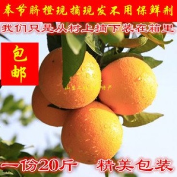 奉节脐橙新鲜橙子纽荷尔孕妇水果